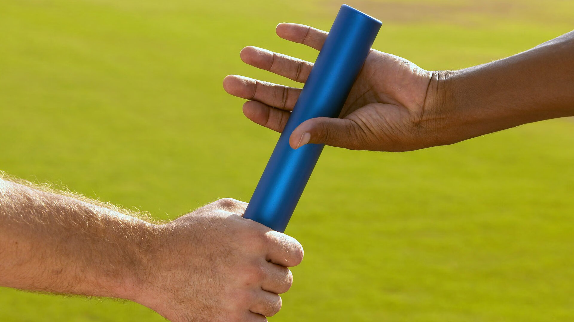 温网草地大战精彩纷呈